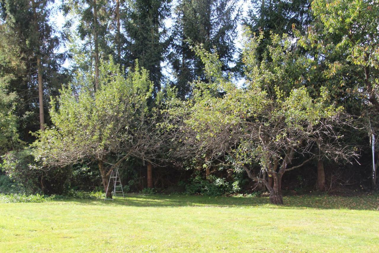 Narrenhaus Villa Fohnsdorf Exteriör bild